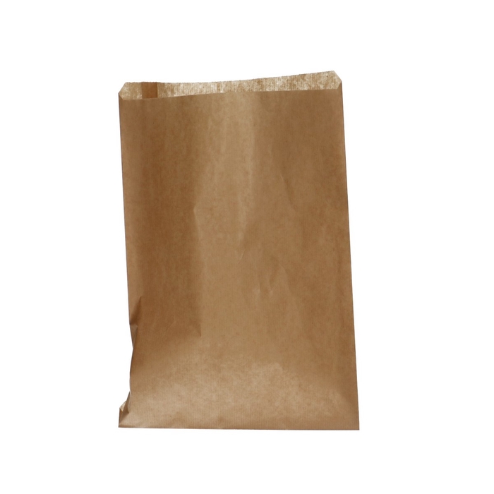 <h4>Bags Gift bag 21*30cm</h4>