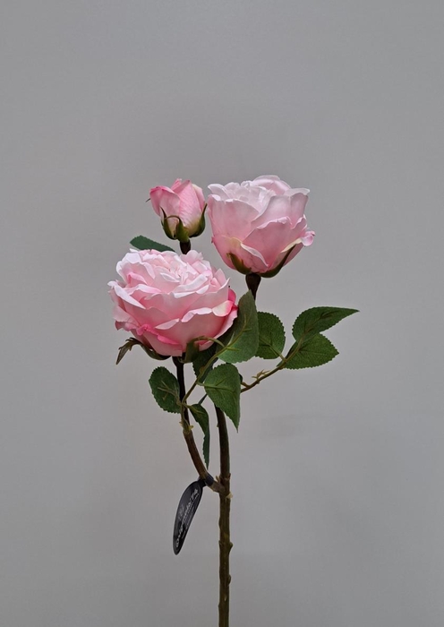 <h4>Af Roos X3 L50cm Roze</h4>