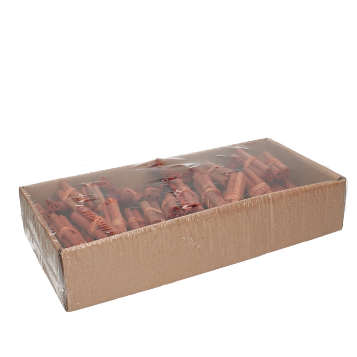 <h4>Droogdeco Jute stick 8cm x3/draad x60</h4>
