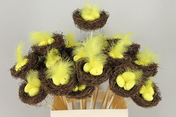 <h4>Stick Nest Salim + Eggs Yellow</h4>