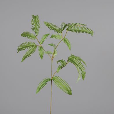 <h4>Af Fern 66cm Green</h4>