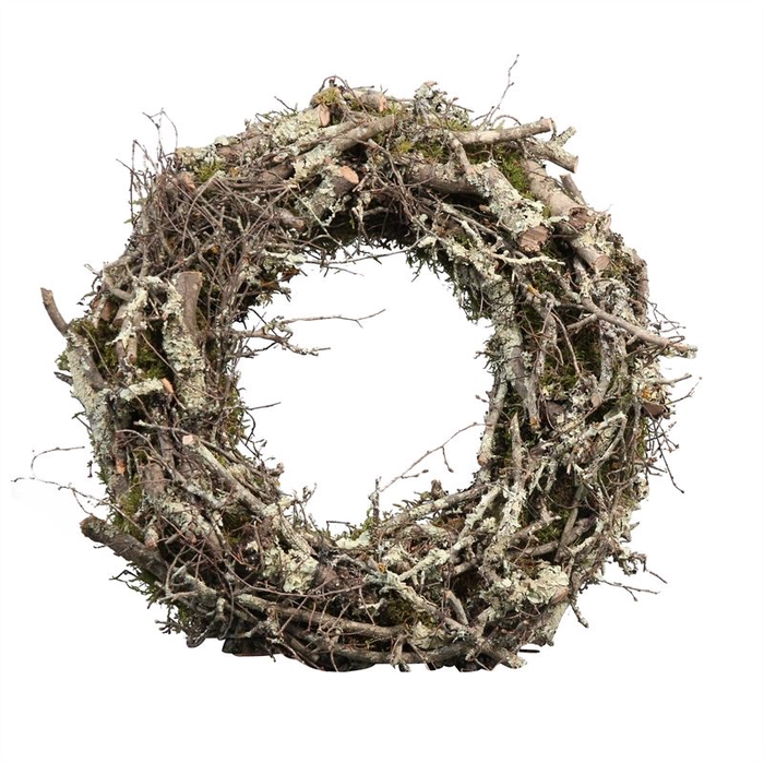 <h4>Krans Moss Bonsais Larix Naturel</h4>
