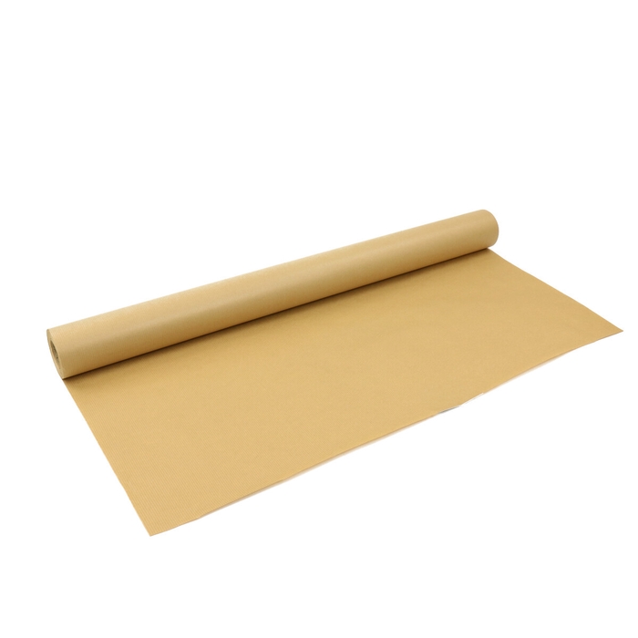 <h4>Paper Roll 80cm Hydropaper 60g</h4>