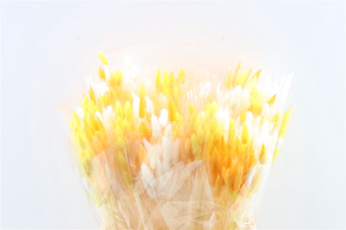 <h4>Dried Lagurus 50gr Easter Mix Bunch</h4>