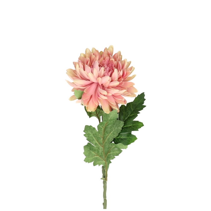 <h4>Silk Chrysanthemum 60cm</h4>