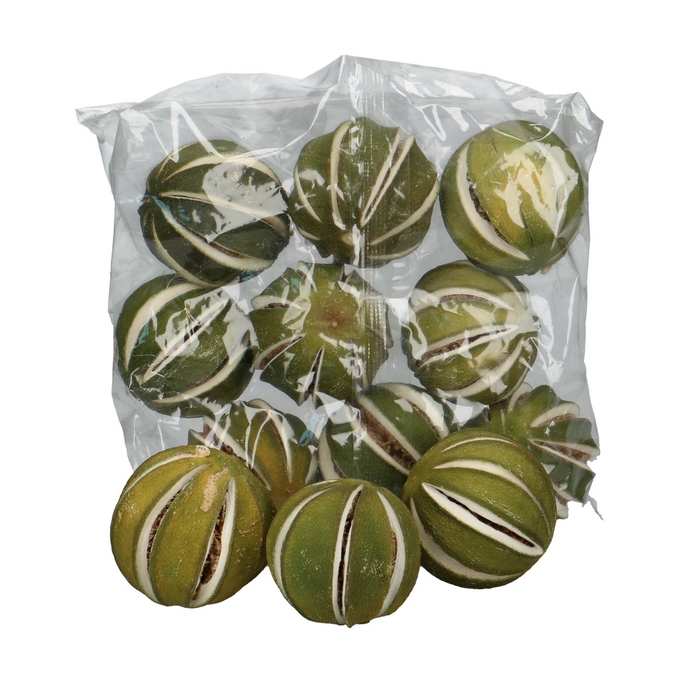 <h4>Droogvrucht Sinaasappel d4cm 250g</h4>