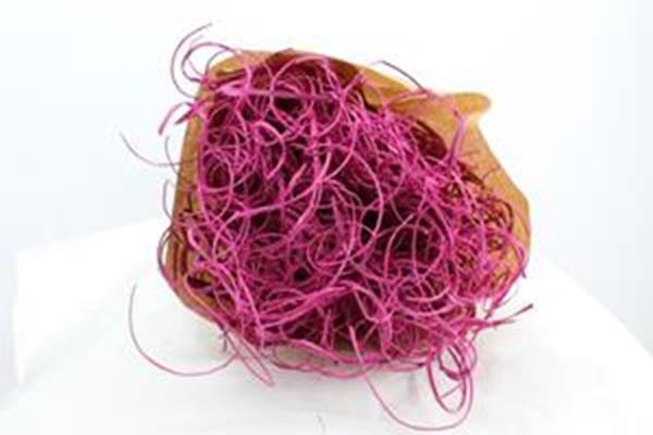 <h4>Droog Tin Tin Cerise Znd Glx40</h4>