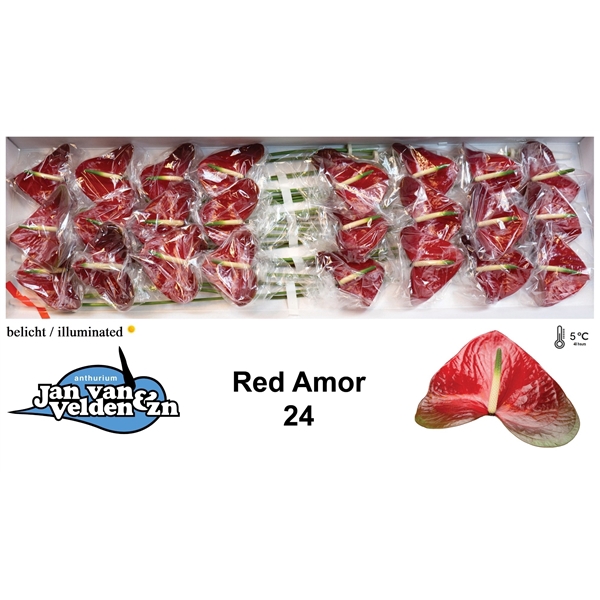 Red Amor 40