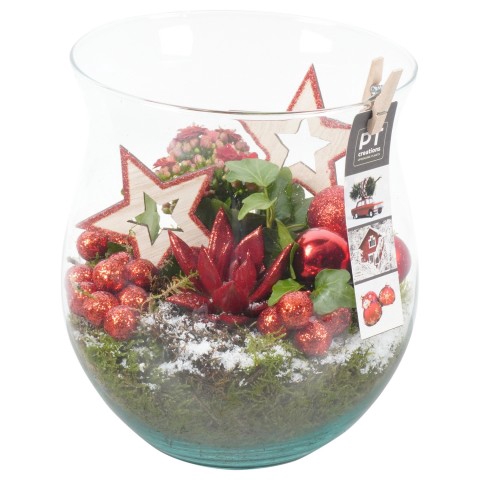 <h4>PTCHR4232 Arrangementen Kerst</h4>