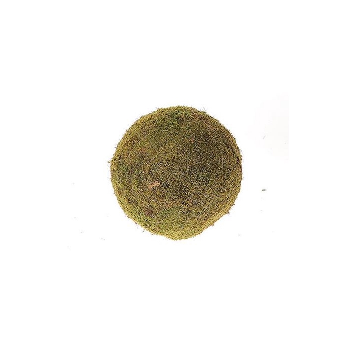 <h4>Ball Flat Moss D20.0</h4>