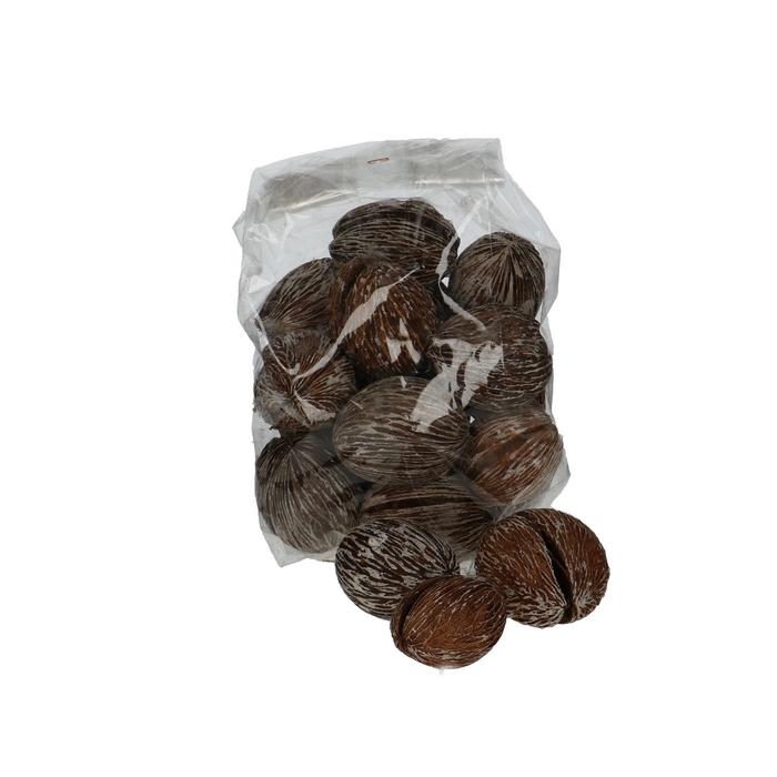 <h4>Dried articles Mintolla ball 6-10cm x20</h4>