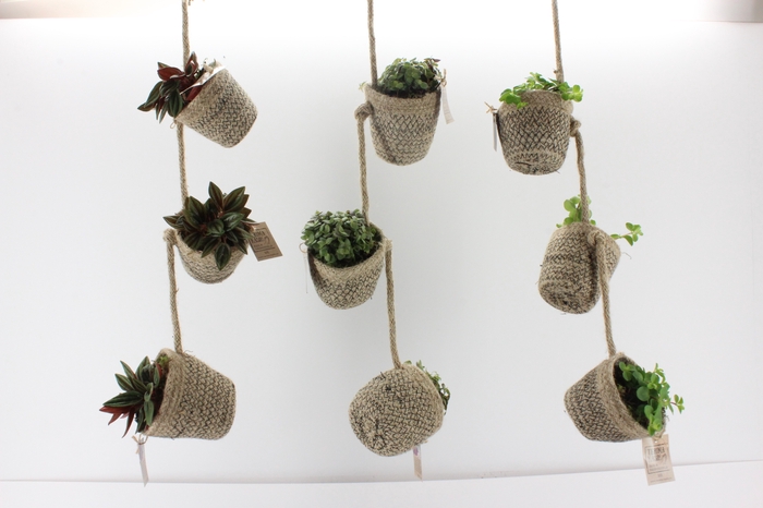 <h4>arr3 SN - Jute ketting garland</h4>