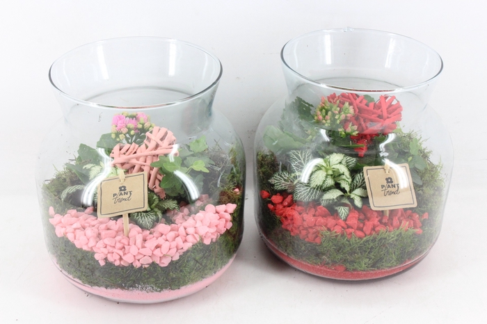 <h4>arr2 PL - Glas candy jar - roze/rood</h4>