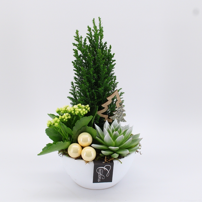 <h4>XMAS-23068 Kerst creatie</h4>