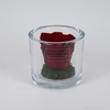 Cilinder d9x8h bordeaux roos glas