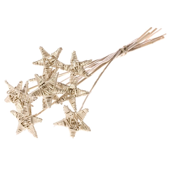 <h4>Lata st o/s fl sb ch gold</h4>