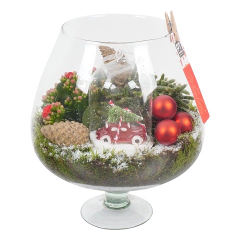 <h4>BMXM3466 Arrangementen Kerst</h4>