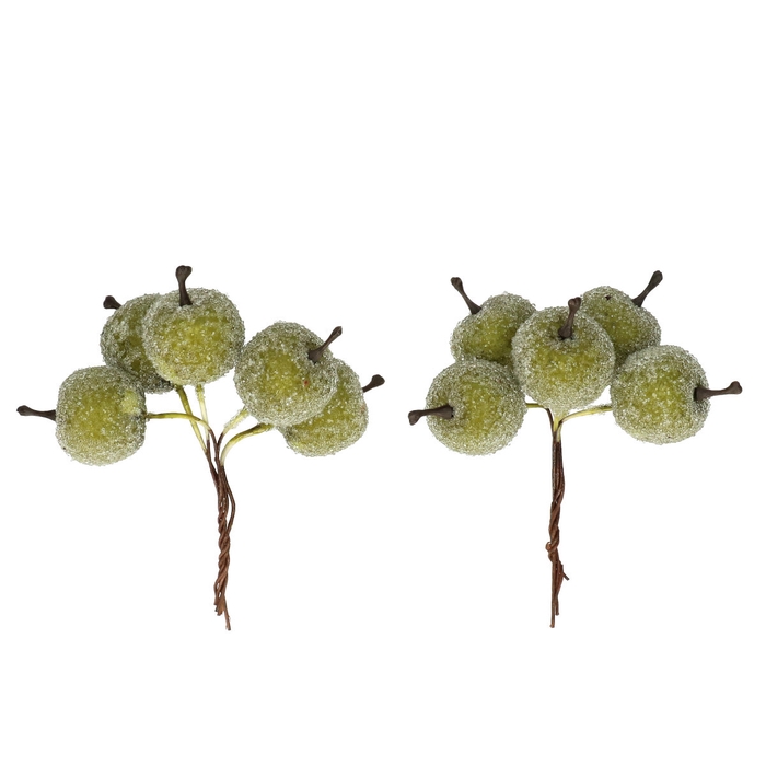 <h4>Decoratie Appel frosted/draad 2.5cm x20</h4>
