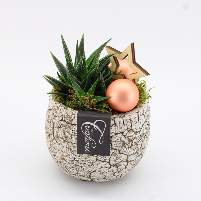<h4>XMAS-23093 Kerst creatie</h4>