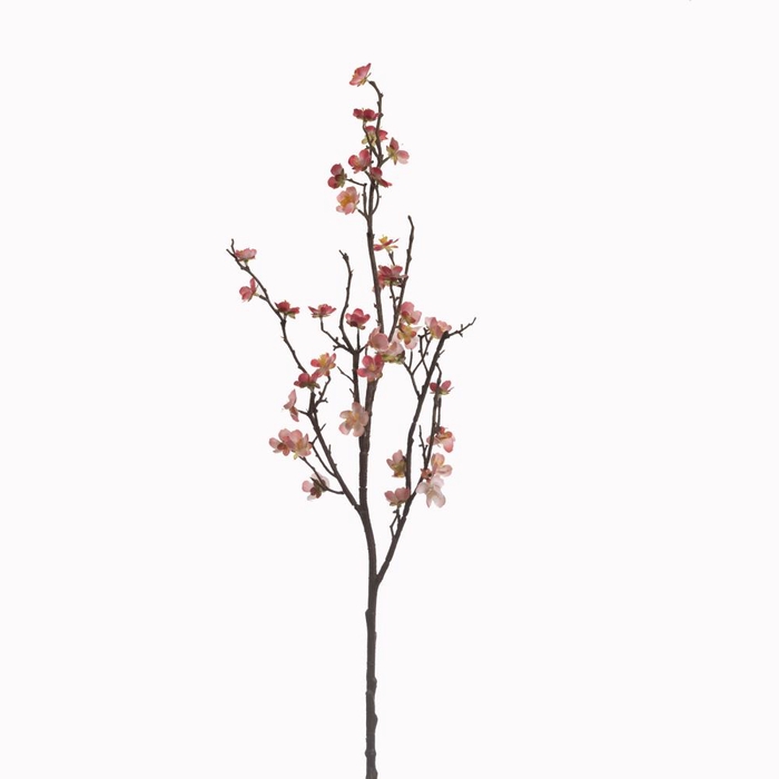 <h4>Af Kersenbloesem L70cm Roze</h4>