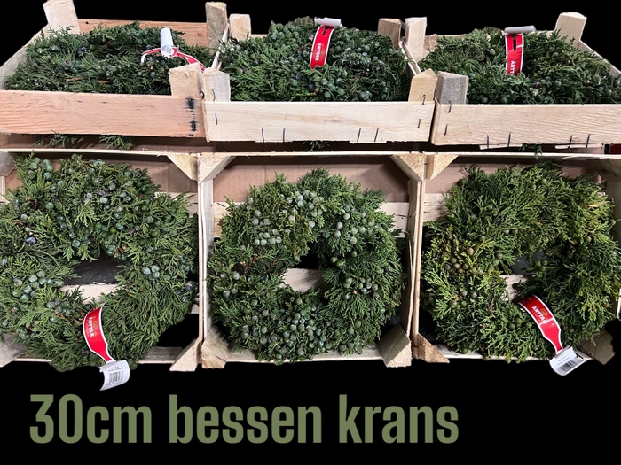 <h4>Kransen Krans</h4>