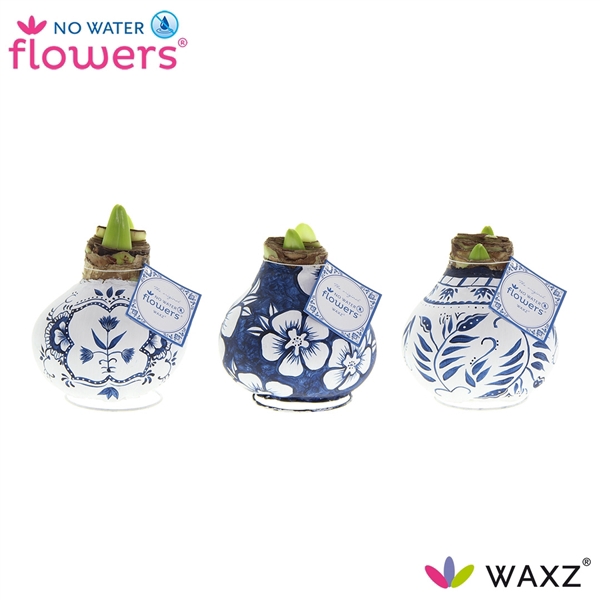 <h4>No Water Flowers Waxz® Delfts Blauw Mix</h4>