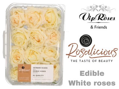 <h4>Edible rosa rosalicious white</h4>