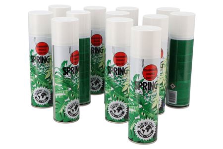 <h4>Bloemschikmateriaal Bladglans 12 Stuks 250ml</h4>
