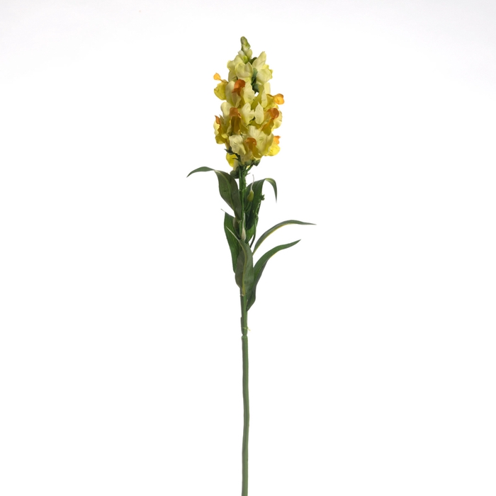 <h4>Af Leeuwebek L60cm Geel</h4>