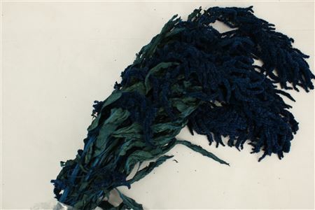 <h4>Pres Amaranthus Blue Bag</h4>