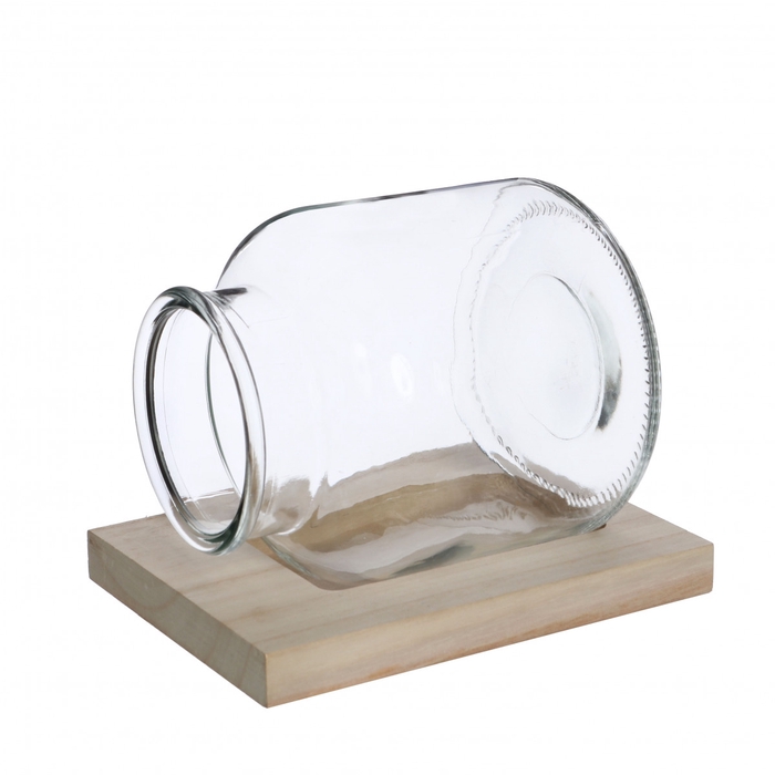 <h4>Glas Terrarium+hout d14*16cm</h4>