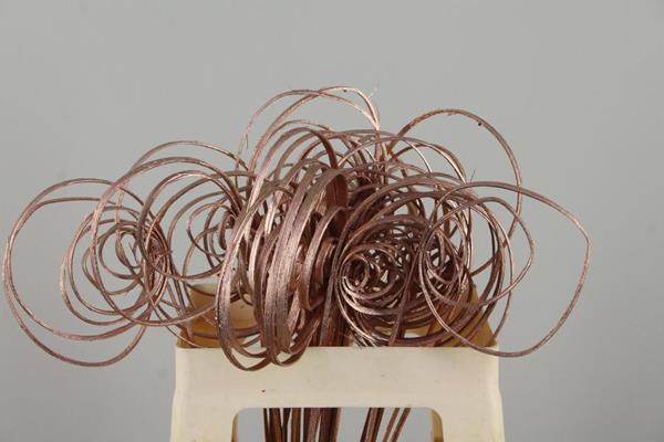 <h4>Stem Cane Coil Copper</h4>
