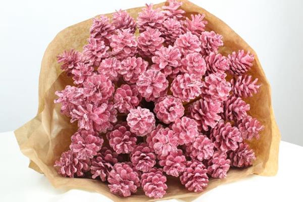 <h4>Droog Denn Rozé + Glitter X40</h4>