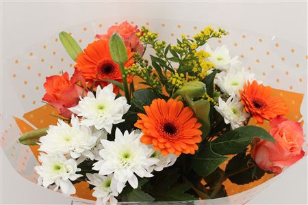 <h4>Bouquet 3 rosa 3 germini orange</h4>