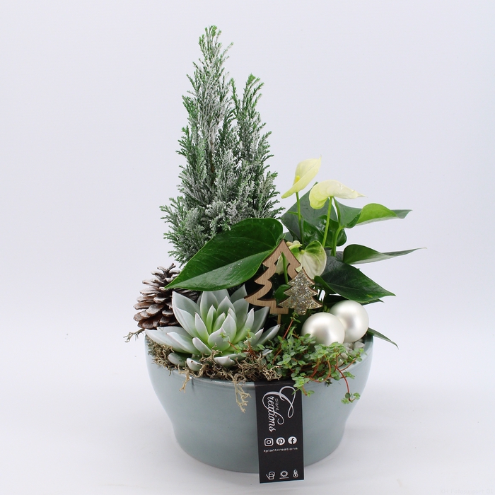 <h4>XMAS-23072 Kerst creatie</h4>