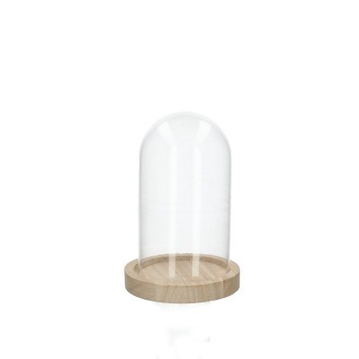 <h4>Glas Stolp+hout d10*15cm</h4>