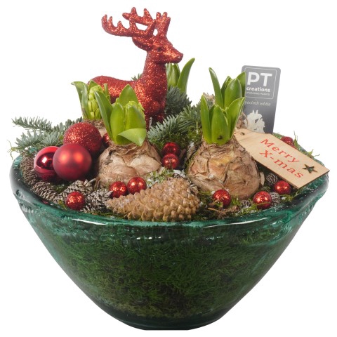 <h4>PTHCC8678 Arrangementen Kerst</h4>