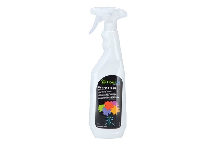 <h4>Oasis Finishing Touch Spray P/1</h4>