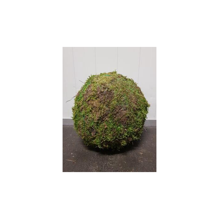 <h4>Ball Moss Green 30cm</h4>