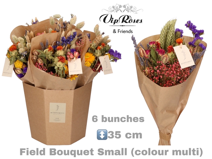 <h4>DRIED BOUQUET SMALL MULTI</h4>