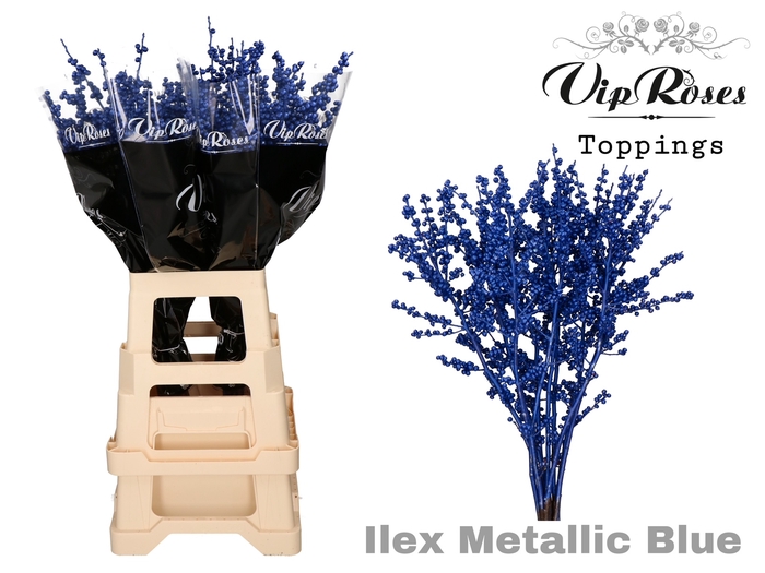 <h4>ILEX METALLIC BLUE 70 cm</h4>