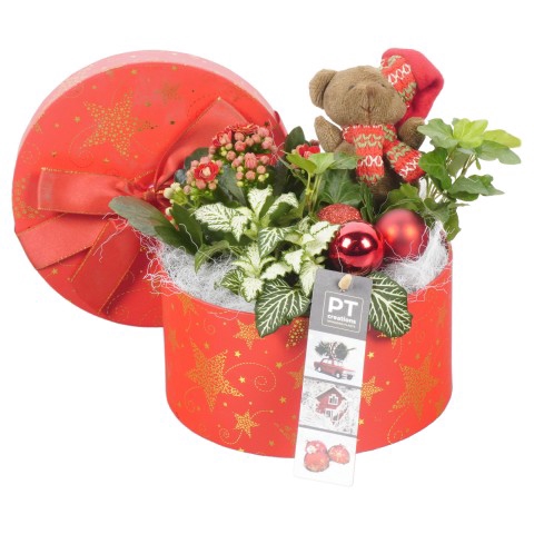 <h4>PTCHR4287 Arrangementen Kerst</h4>