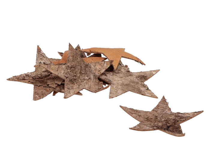 <h4>Natuur ster schors berk 15cm per 15</h4>
