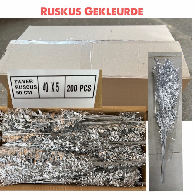 <h4>RUSCUS OV KLB H%</h4>