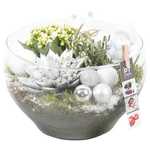 <h4>PTCHS7329 Arrangementen Kerst</h4>