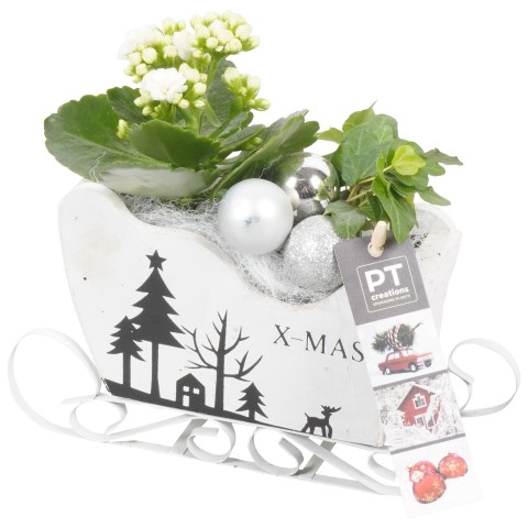 <h4>PTCHS7376 Arrangementen Kerst</h4>