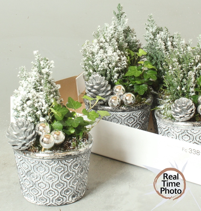 <h4>ARR TUINPLANTEN</h4>