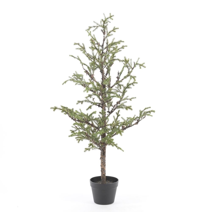 <h4>Af Larix Tree Pot H114cm Green</h4>