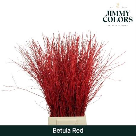 <h4>Berk Kort Rood Pbs</h4>