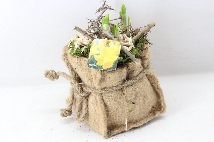 <h4>arr4 Narcis MB16 - Jute zakje strik kl x8</h4>
